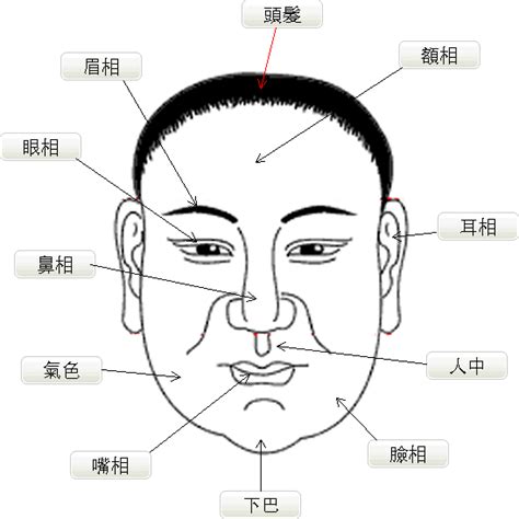 面相圖解